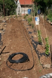 Installing underground irrigation